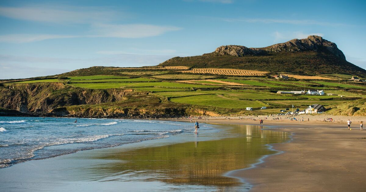 Warning as sea creatures with 'painful sting' wash up on UK beaches